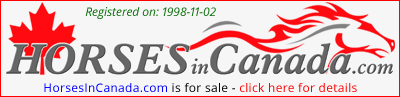 central ontario .com and  horses in canada .com two premium domain names for sale.
